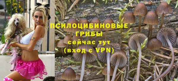 альфа пвп Богданович